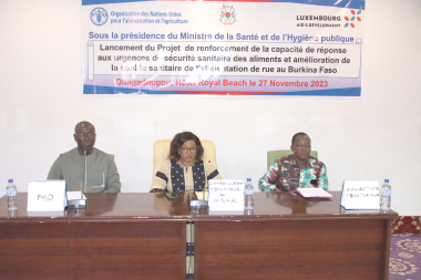 Le présent projet vise à améliorer la qualité du dispositif d’inspection et la restauration de rue 