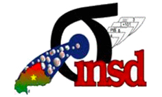 insd4