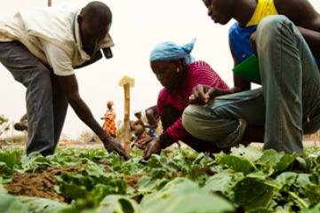 insécurité alimentaire